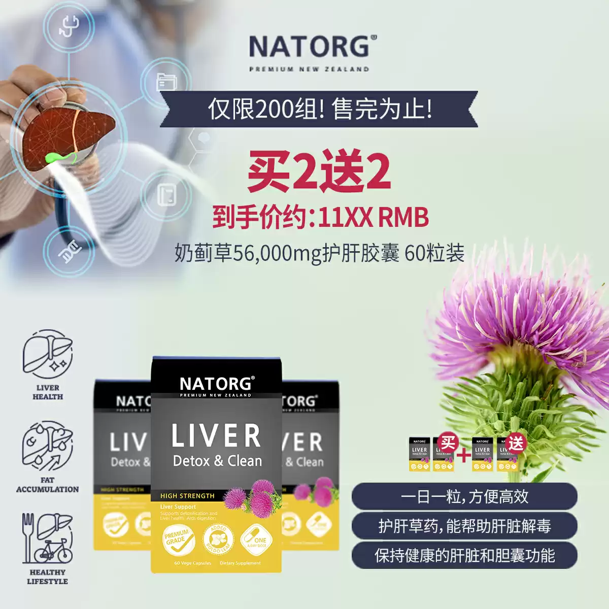 NATORG Liver Detox 60c buy 2 get 2 for free
